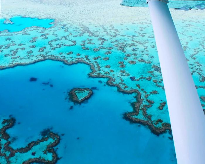 Aerial view of the iconic Heart Reef located off the coast of Airlie Beach near the Whitsunday Islands (Whitsunday Islands, Australia)