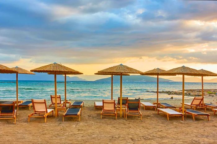 A beach adorned with rows of straw umbrellas at sunset