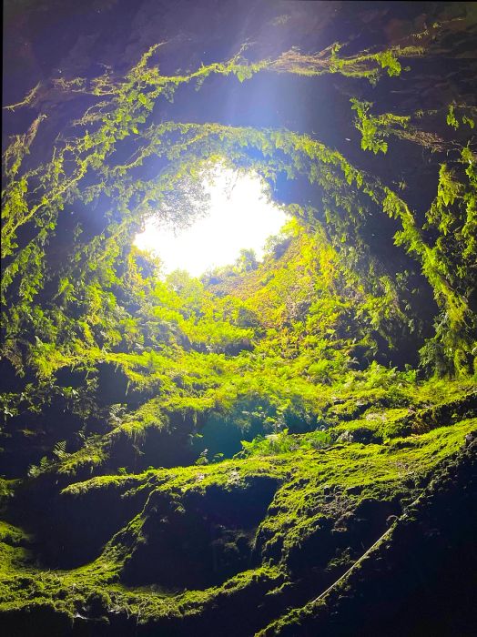 Gazing up at the dormant volcano from ground level.