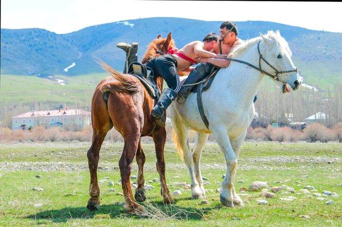 Two horseback riders engage in a friendly struggle in an open field.