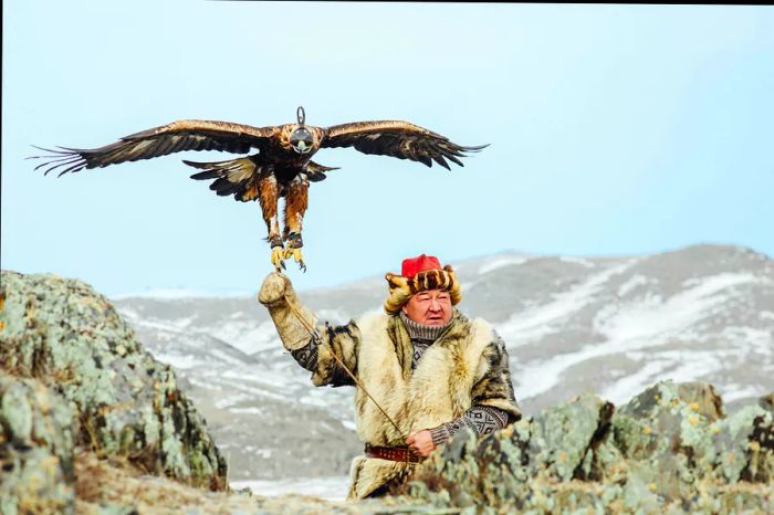 A man showcases a large hawk with its wings fully extended.