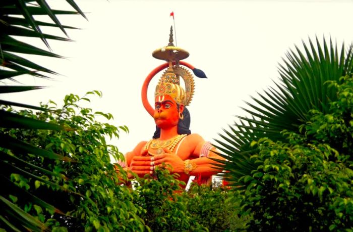 View of Hanuman Temple in Delhi framed by palm leaves