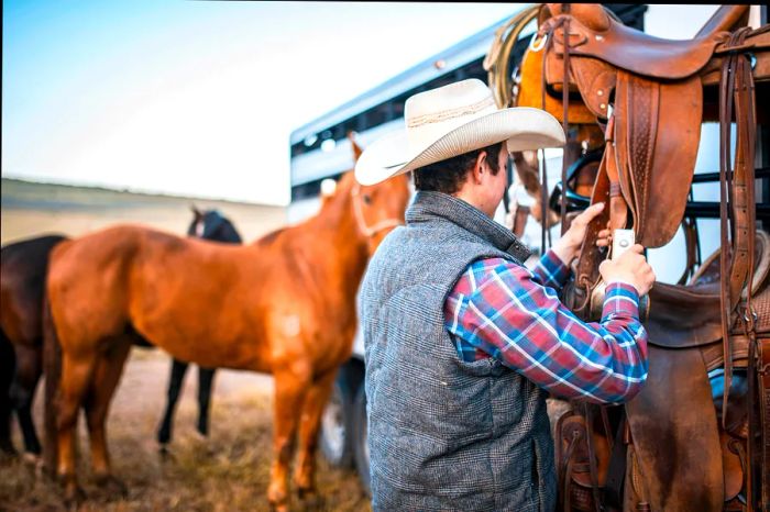 A young cowboy getting ready to saddle horses that are tied to a trailer.