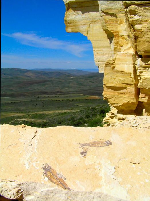 Fossils embedded in rock overlooking a valley in Wyoming