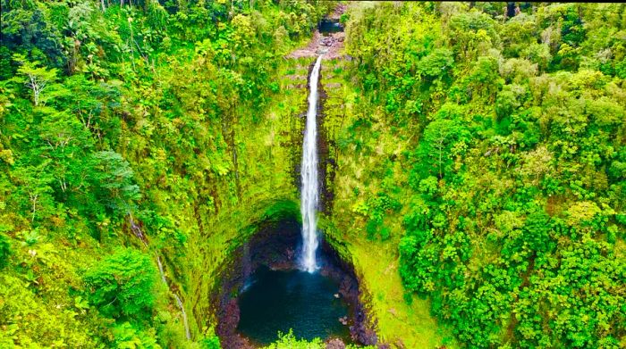 A waterfall flows into a pool nestled within a lush jungle