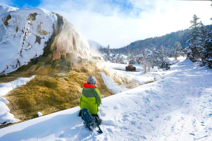 A boy gazes over a wintry landscape at Mammoth Hot Springs in Yellowstone National Park.