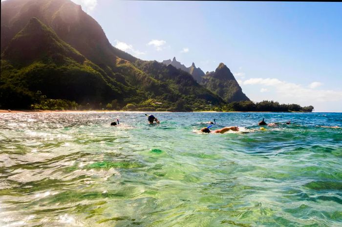 A group of divers enjoying a day of scuba diving and snorkeling off Kauai's sunny coast.