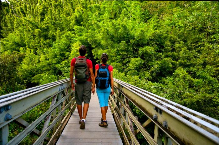 A couple dressed for hiking strolls hand in hand across a wooden bridge in a bamboo forest on Maui.