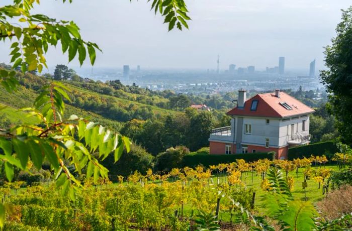 A panoramic view of the vineyards surrounding Grinzing, Vienna, Austria