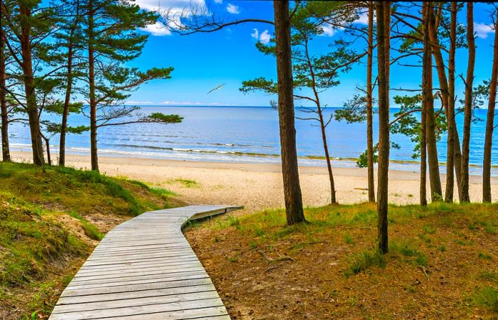 A boardwalk winds through the woods leading down to a sandy beach