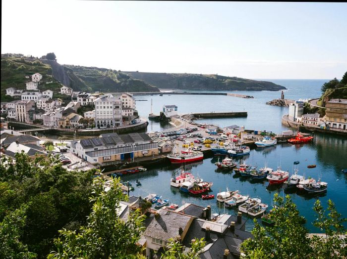 Asturias's beaches are celebrated for their dramatic beauty, unspoiled sands, and crystal-clear waters.