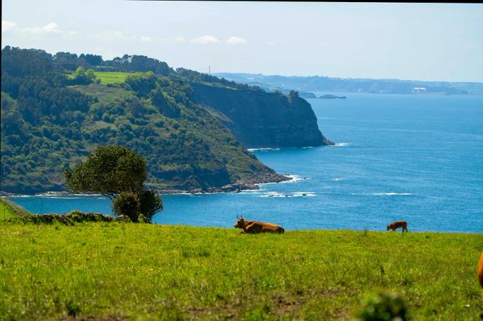 You can experience many of the same spectacular views aboard a cercanía train.