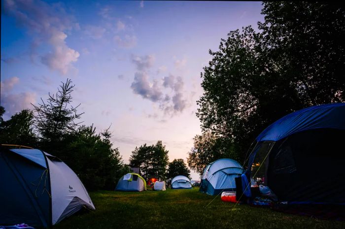 Tents set up at a campsite as night falls