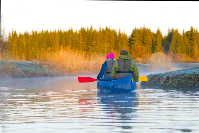 Two kayakers glide along a river, heading towards a forest on a crisp morning.