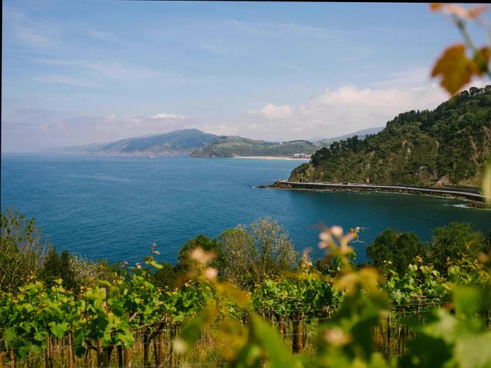 The picturesque vineyards of the Txomin Etxaniz winery.