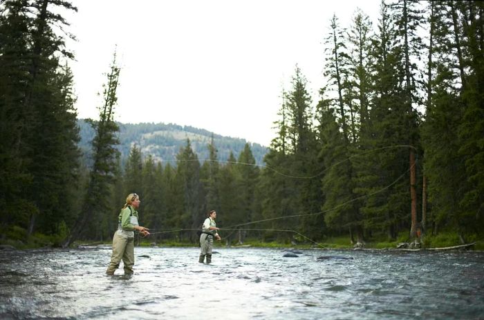 Two anglers in waders casting lines while fly-fishing in a forested river setting.