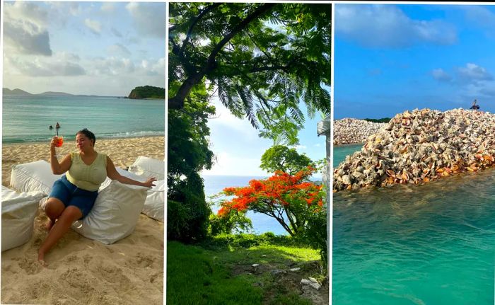 Chamidae enjoys the British Virgin Islands, sipping spritzes and visiting Conch Island