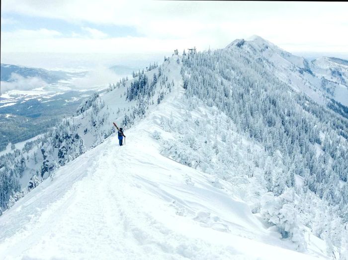 A skier gazes from a snowy ridge over the pristine slopes below.