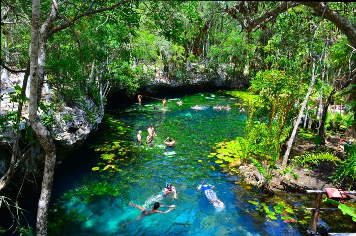 Swimmers plunge into the vibrant waters of Dos Ojos Cenote, located near Tulum.