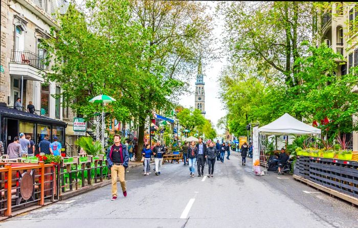 Stroll along Saint Denis street in the vibrant Plateau Mont Royal neighborhood of Montreal, Québec.