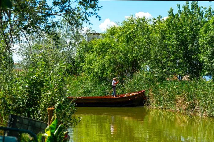 Spain boasts a wealth of boating activities, from catamaran excursions to serene explorations of tranquil waterways, like those in Albufeira.