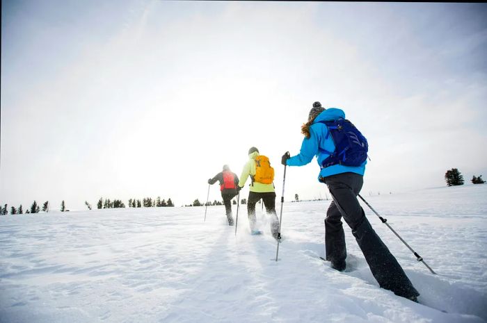 Three individuals snowshoeing near Bozeman.