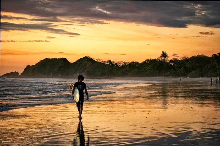 A surfer carrying their board is silhouetted against the soft pink hues of the sunset as they stroll along the beach.