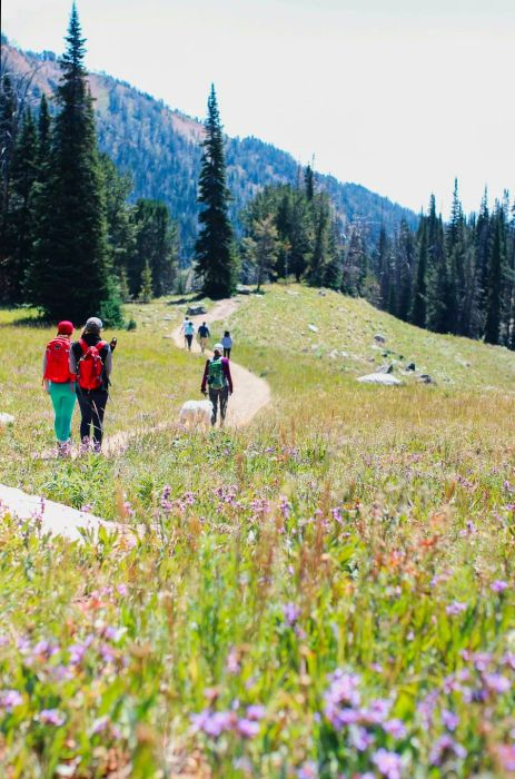 Hiking the Beehive Basin Trail near Big Sky and Bozeman, Montana