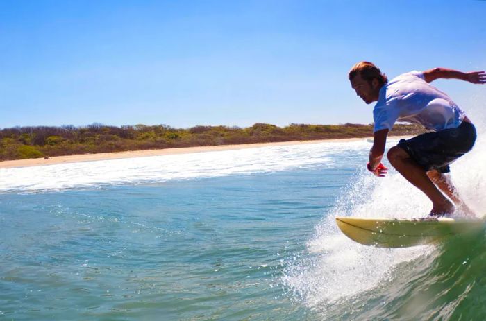 A surfer riding a wave toward a sandy beach lined with palm trees