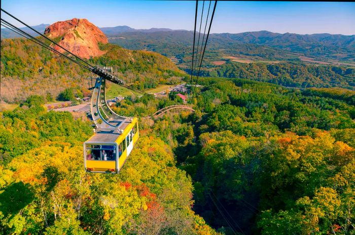 A scenic aerial tram ride in autumn on Mt Moiwa, Hokkaidō, Japan