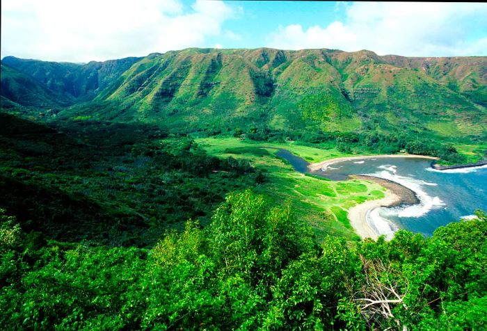 An aerial view showcases a lush, forested valley along the coast of Molokai