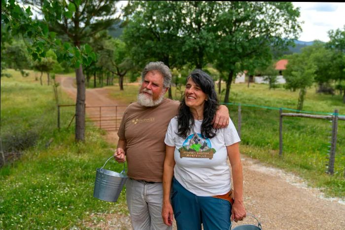 Casas Rurales, or 'country houses,' are operational farms and agritourism spots across Spain.