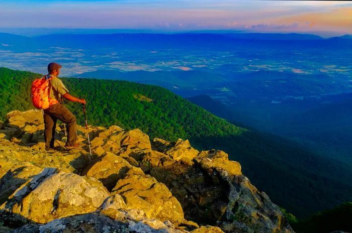 A hiker gazes out from a viewpoint, taking in the expansive green valley below.