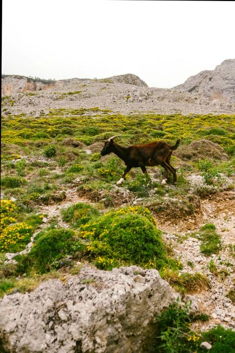 The trail traces the Cares River through a steep gorge, providing breathtaking vistas.