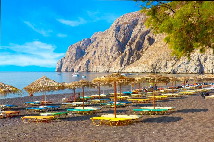 A row of sun loungers shaded by palm-tree umbrellas on a dark sandy beach.