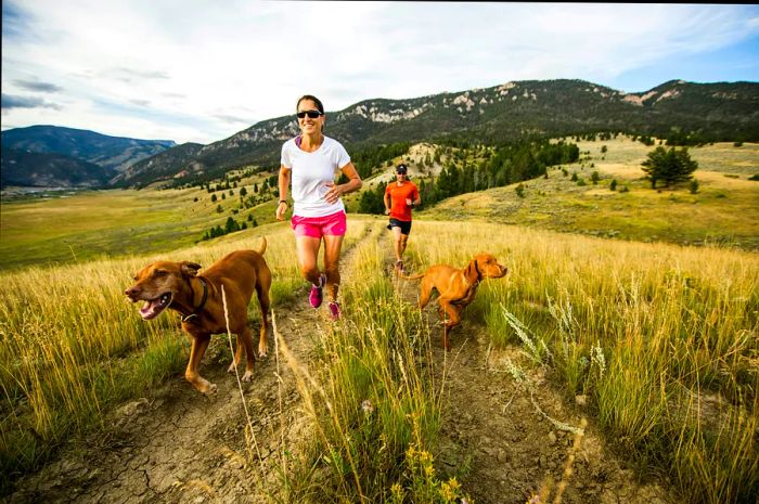 Two individuals jogging along a trail with two dogs