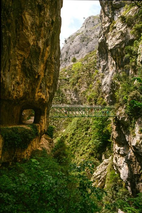 The trail winds through tunnels and spans bridges, enhancing the thrill of the hike.