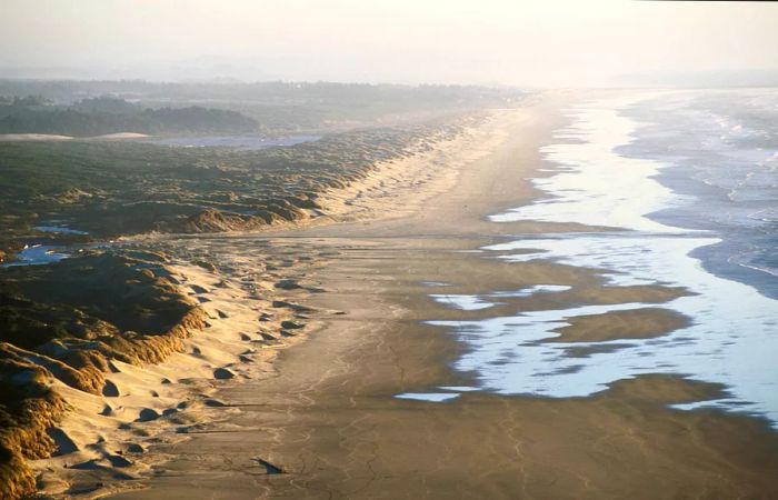 Aerial view of Florence Beach.