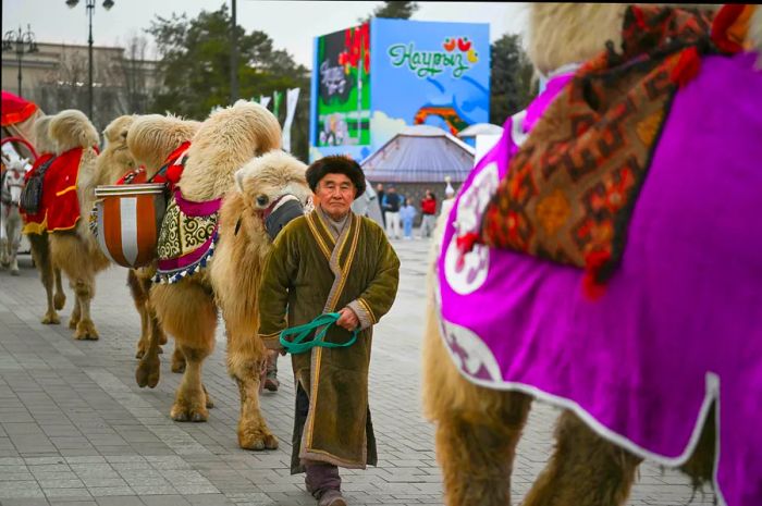 A man guides a camel during a Nauryz celebration in Almaty, Kazakhstan