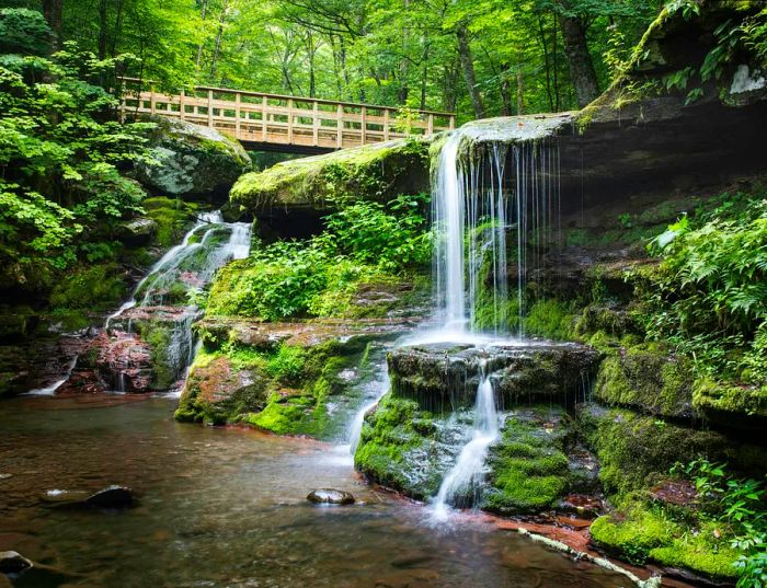 Diamond Notch Falls and the footbridge along the trail in the morning, Catskills