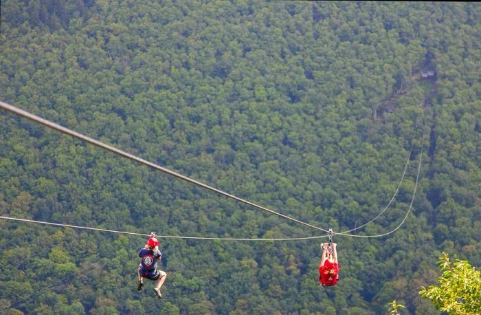 Guests enjoying zip lining in the Catskill mountains at the Hunter Mountain Ski Resort.