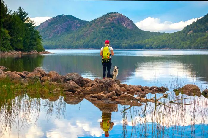 A hiker stands with her dog, gazing over a picturesque lake view.