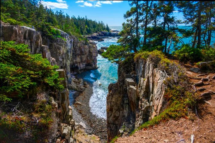 A rugged, wooded inlet where waves crash against the cliffs