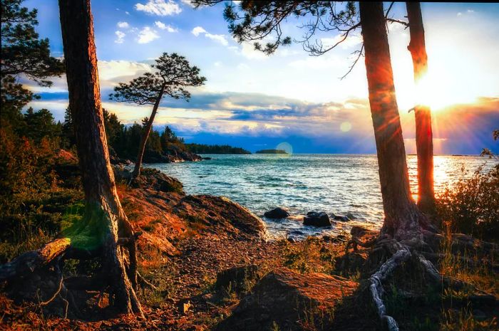 A view of a rocky lake shoreline from the woods at sunset.