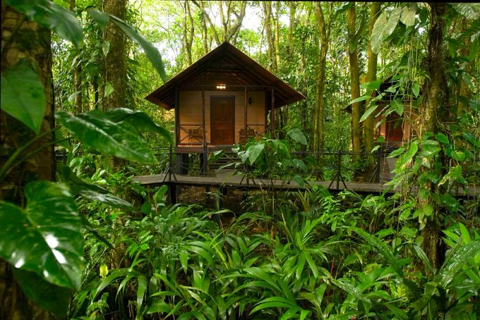 A wooden cabin nestled in the rainforest of Tortuguero village, Costa Rica