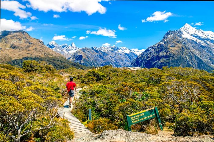 A hiker navigates a boardwalk through lush bushes toward a majestic mountain peak