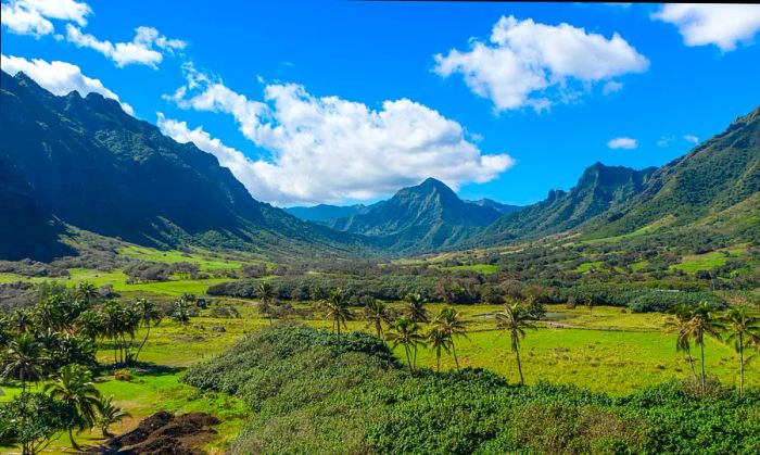 A vibrant landscape filled with lush greenery and towering volcanic peaks