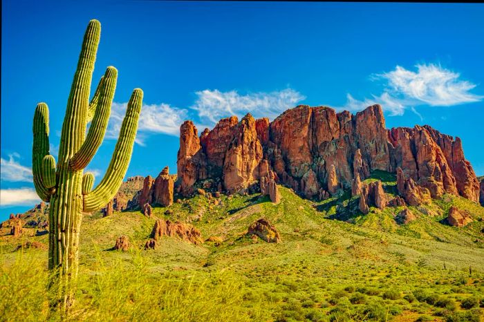 Saguaro cactus at the foothills of the Superstition Mountains in Arizona.