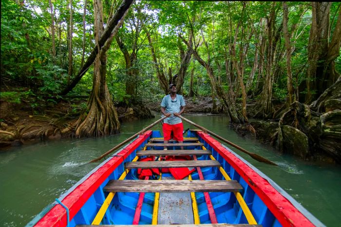 A vibrant red boat, with a man standing at the bow, glides along the Indian River in Dominica.