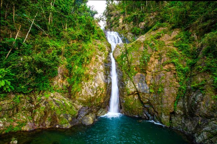 A waterfall cascades through a lush forest in Puerto Rico.